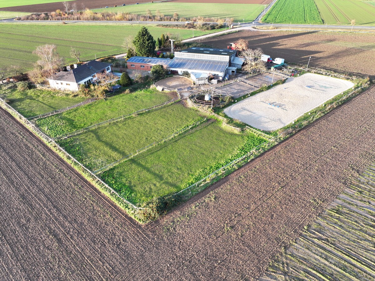 Südliche Vogelperspektive