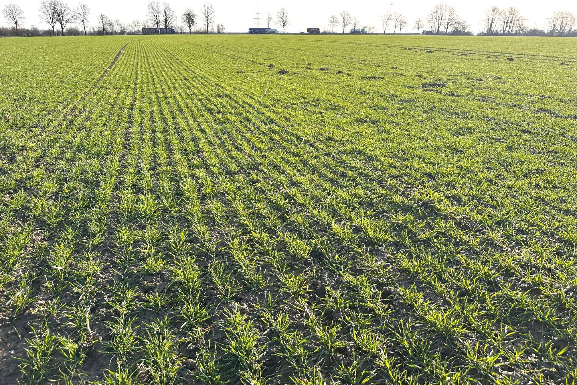 Fachmakler für land-, forst- und pferdewirtschaftliche Immobilien