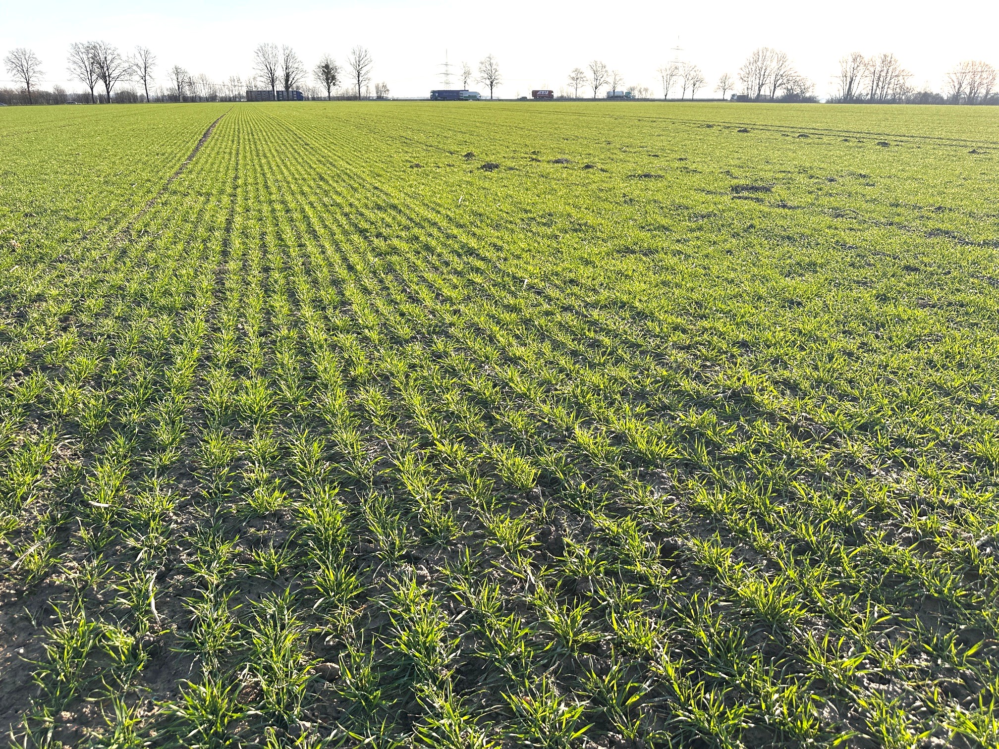 Fachmakler für land-, forst- und pferdewirtschaftliche Immobilien