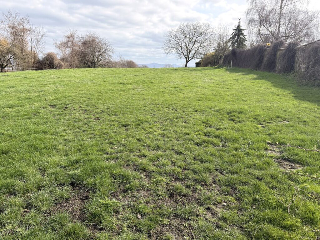 Foto der Immobilie (150944)