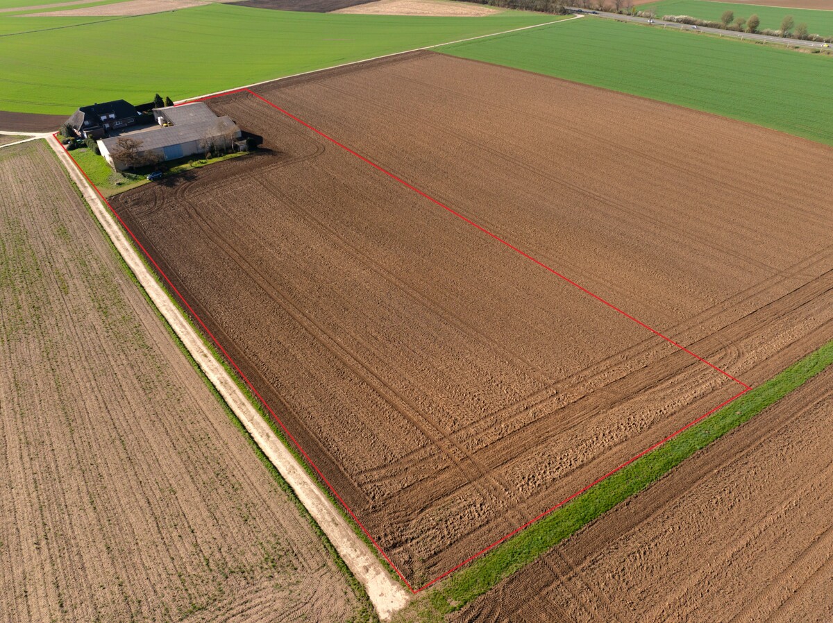 Nördliche Luftbildansicht