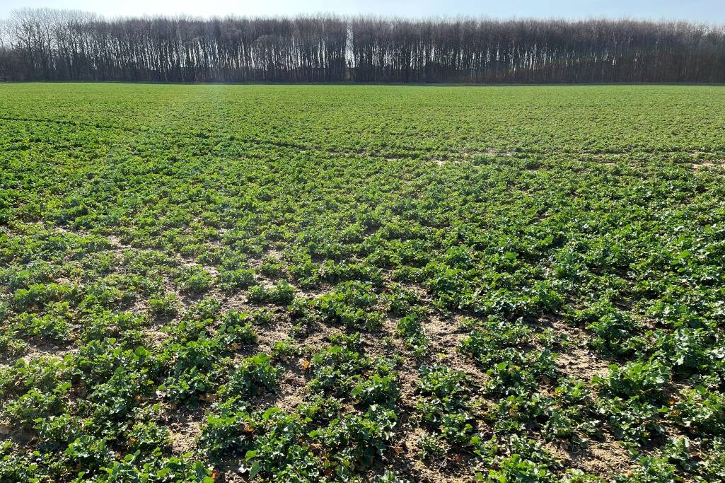 Fachmakler für land-, forst- und pferdewirtschaftliche Immobilien