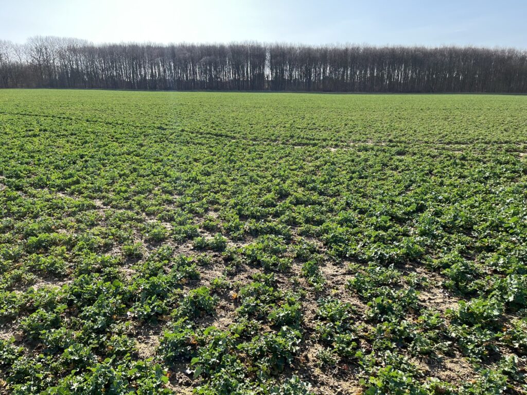 Foto der Immobilie (150874)