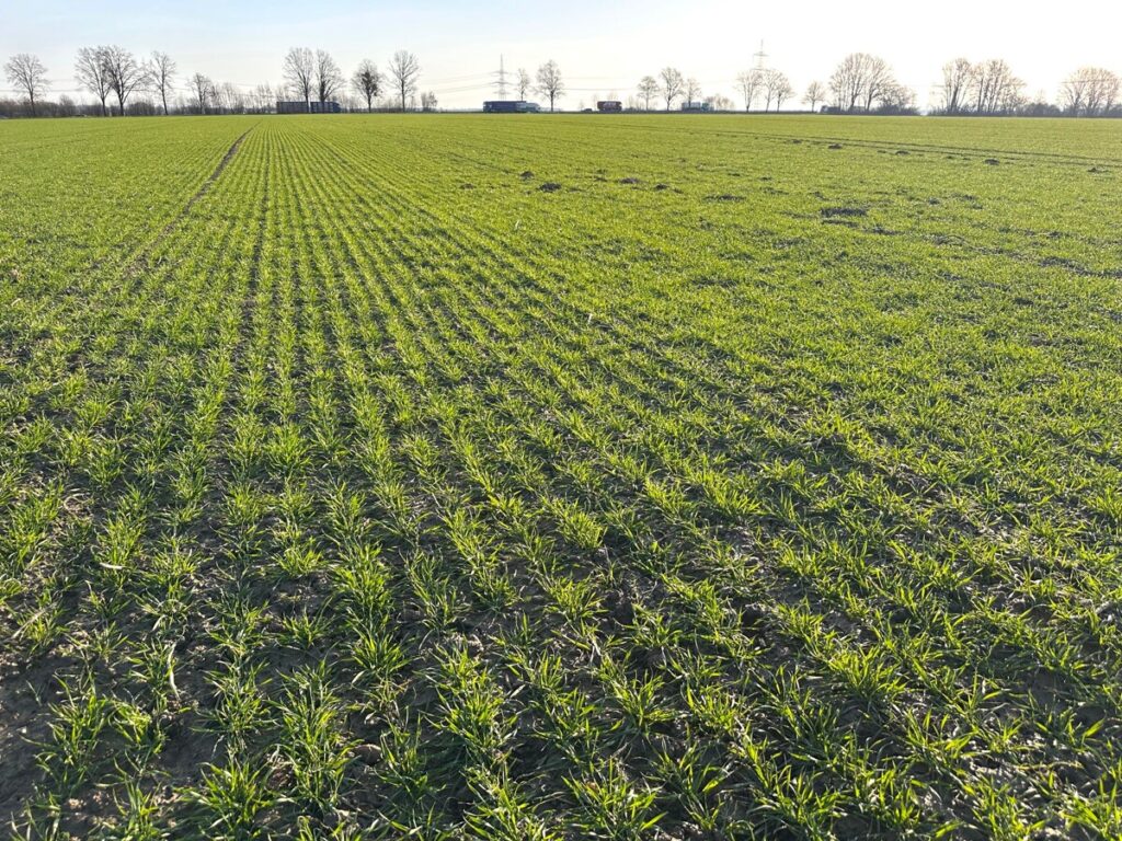 Foto der Immobilie (150889)