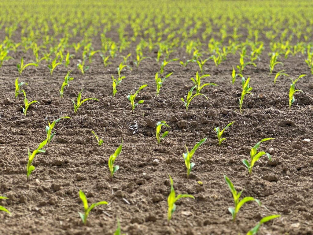 Foto der Immobilie (150965)