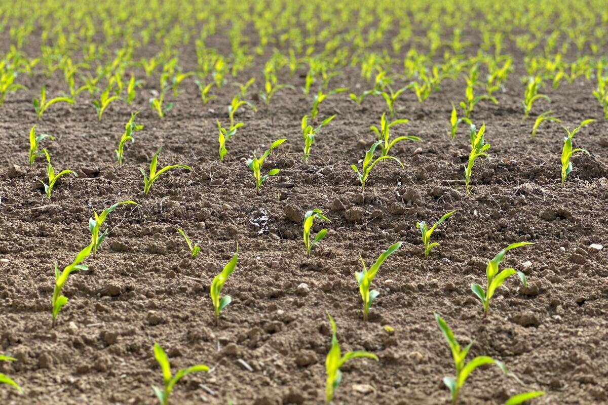 Fachmakler für land-, forst- und pferdewirtschaftliche Immobilien