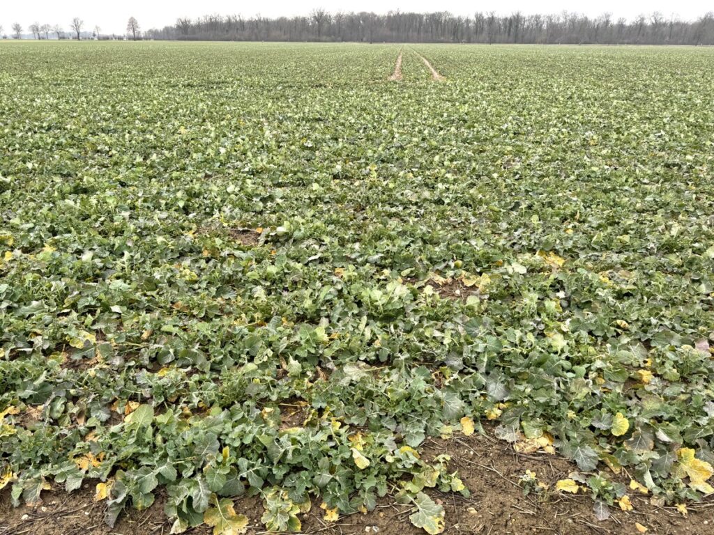 Foto der Immobilie (151134)