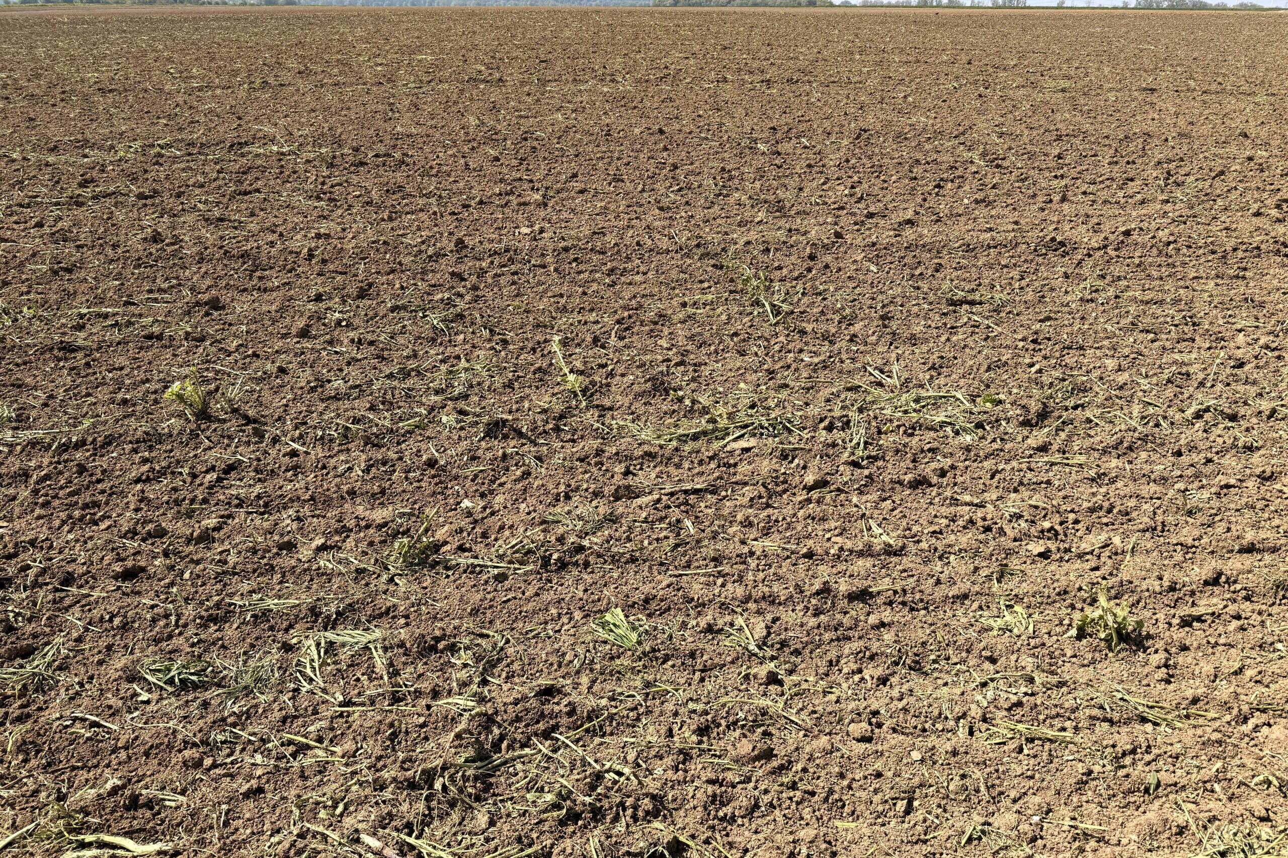 Specialist broker for agricultural, forestry and equestrian real estate