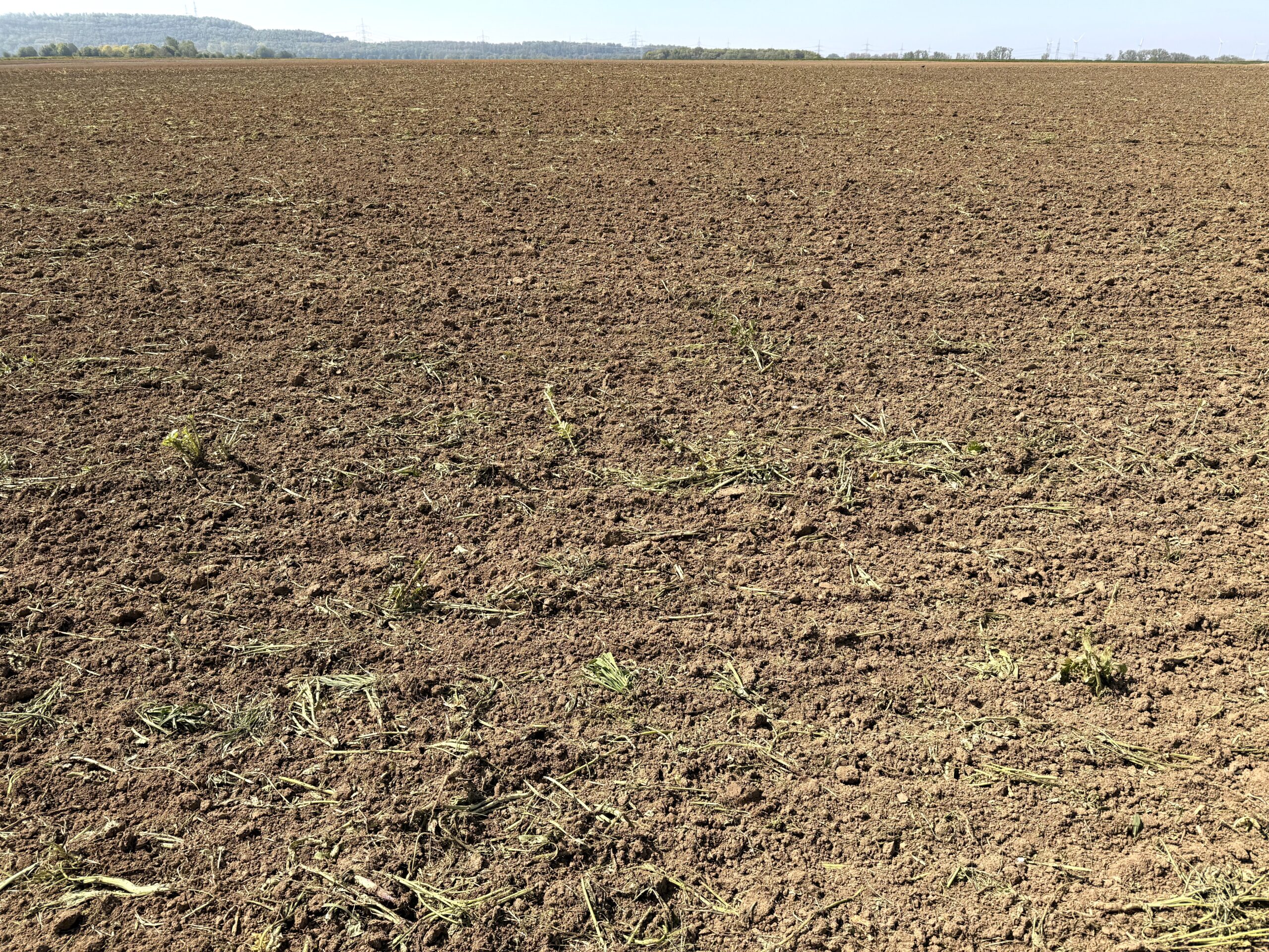 Fachmakler f&uuml;r land-, forst- und pferdewirtschaftliche Immobilien