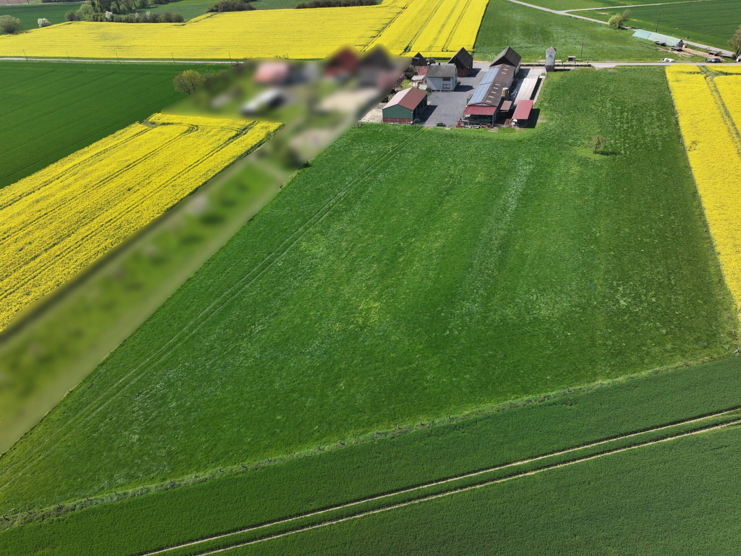 Fachmakler für land-, forst- und pferdewirtschaftliche Immobilien