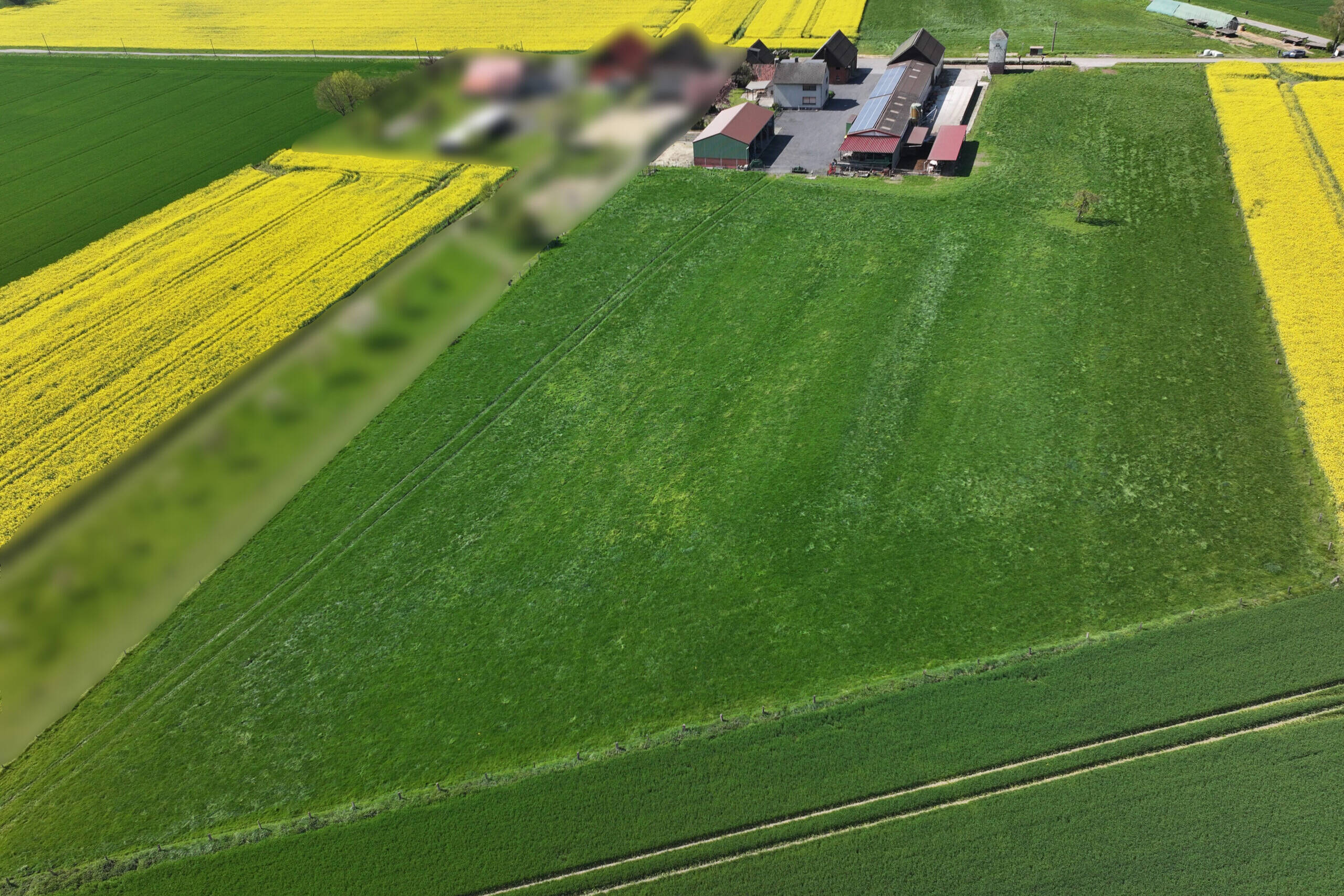 Fachmakler für land-, forst- und pferdewirtschaftliche Immobilien