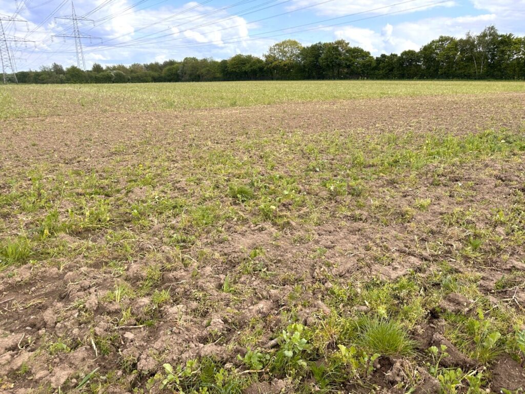 Foto der Immobilie (151051)