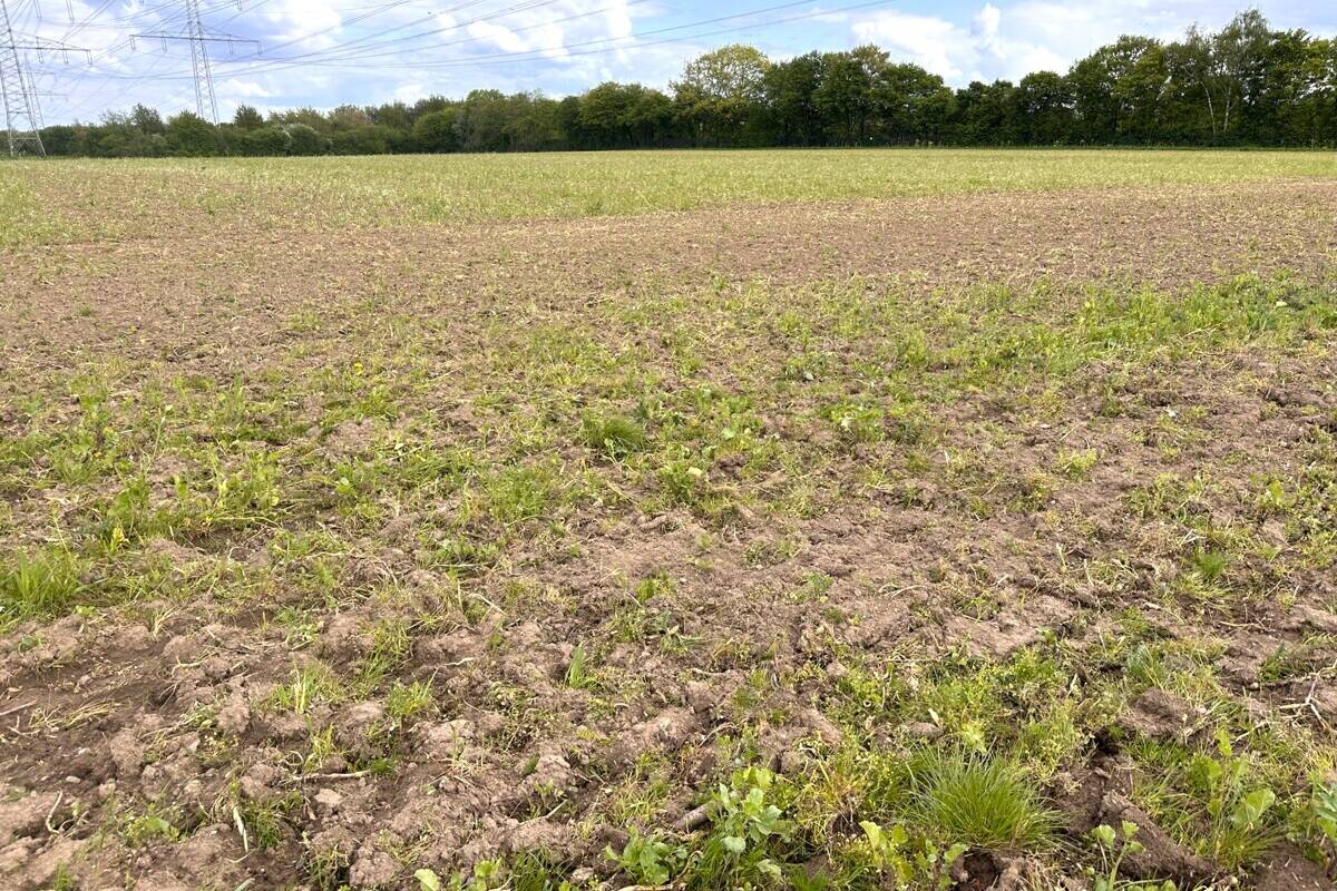 Fachmakler für land-, forst- und pferdewirtschaftliche Immobilien