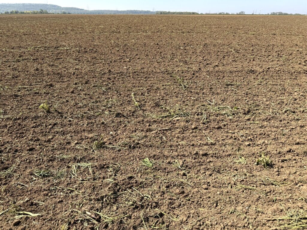 Photo of the property (151087)