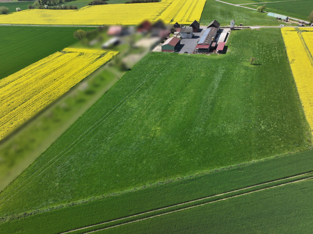 Photo of the property (151099)
