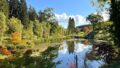 Blick über den Fischteich auf das Wohnhaus