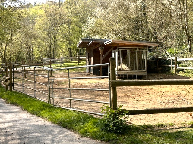 Koppel mit Stallgebäude