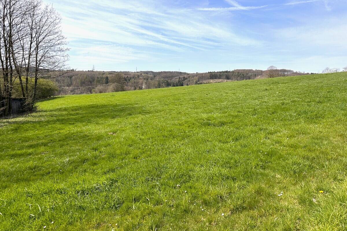 Fachmakler für land-, forst- und pferdewirtschaftliche Immobilien