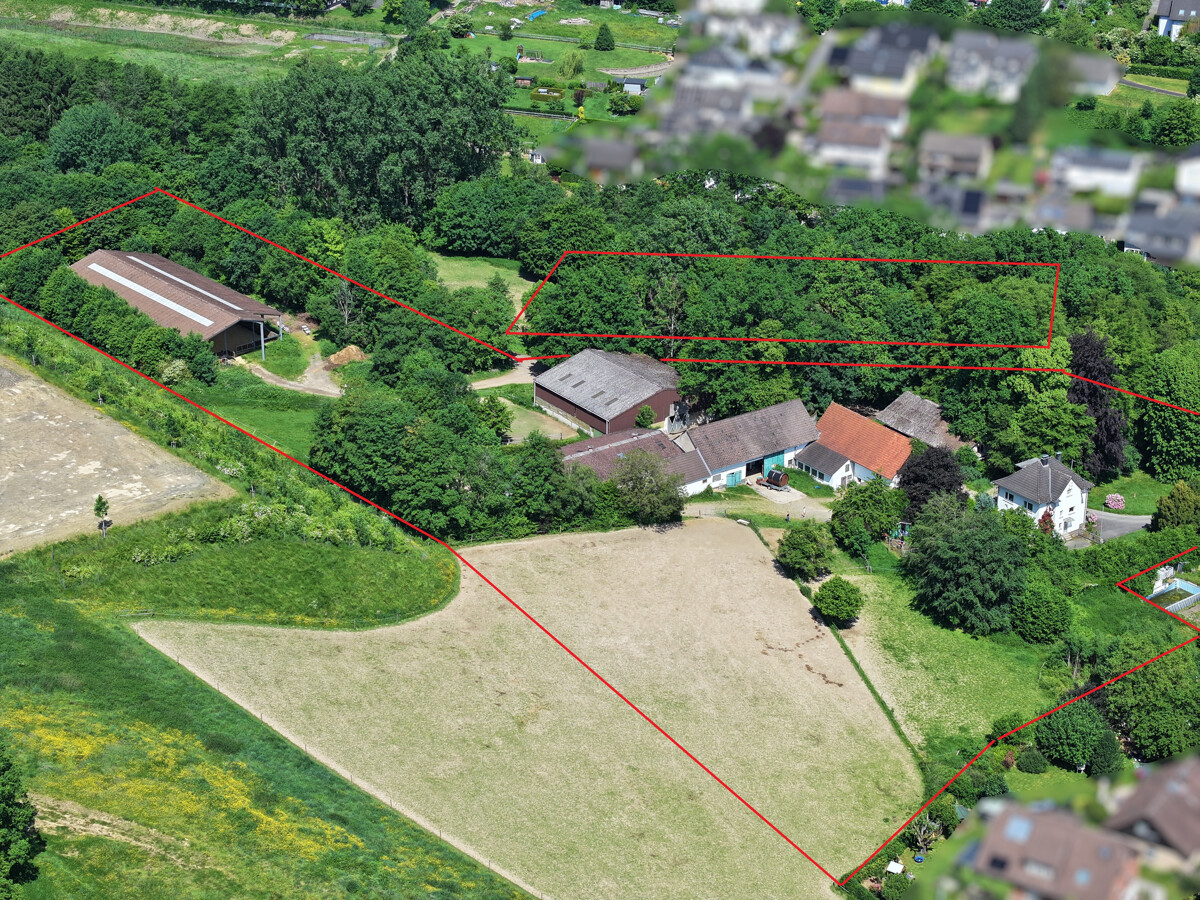 Eastern aerial view