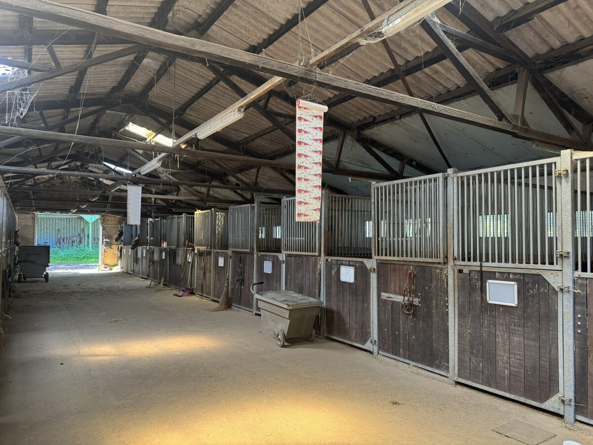 Stallgasse