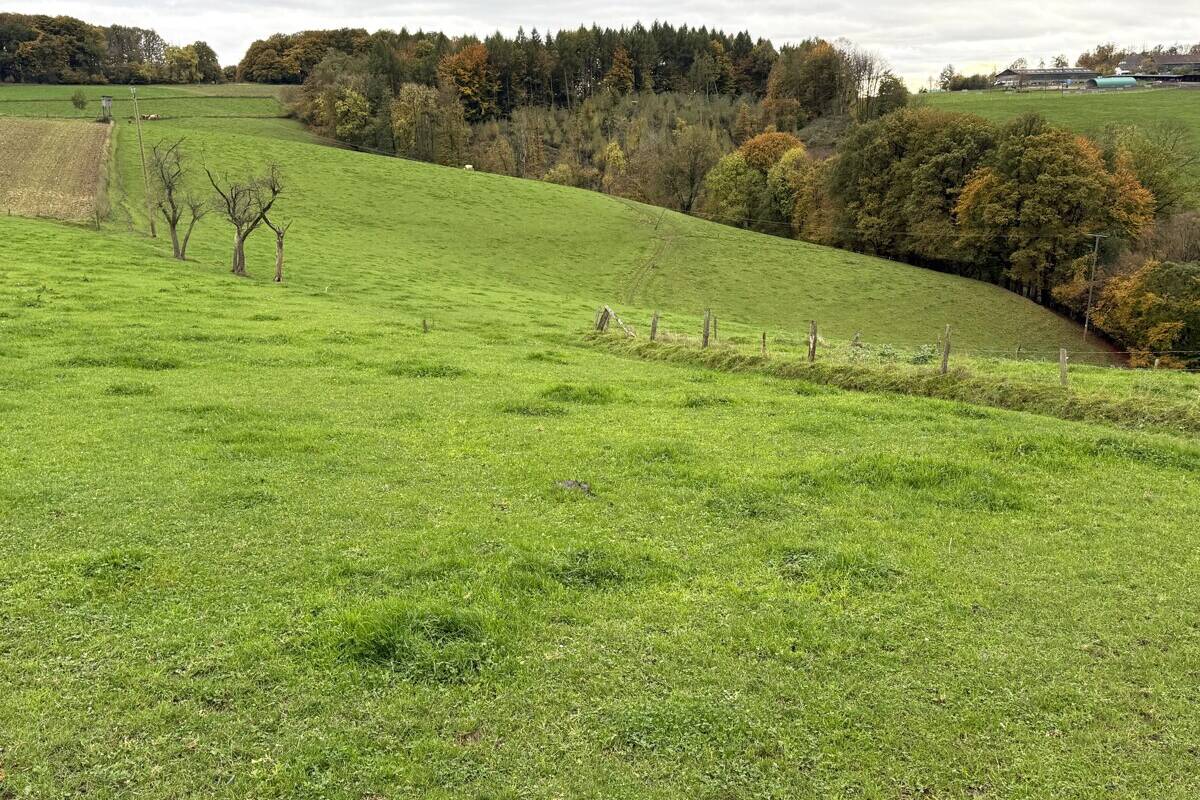 Specialist broker for agricultural, forestry and equestrian real estate