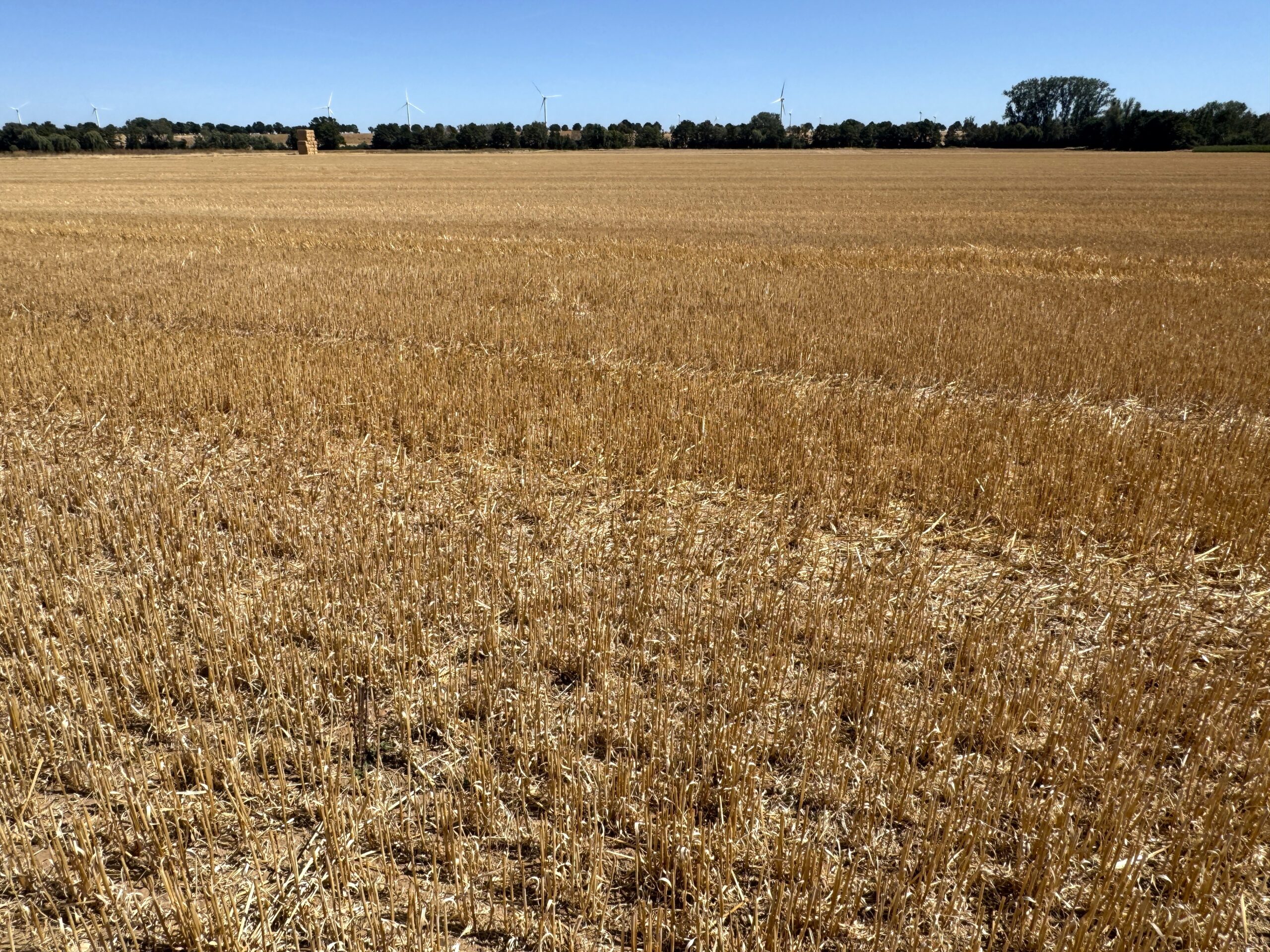 Specialist broker for agricultural, forestry and equestrian real estate