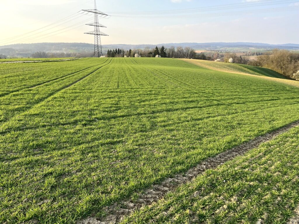 Foto der Immobilie (151522)